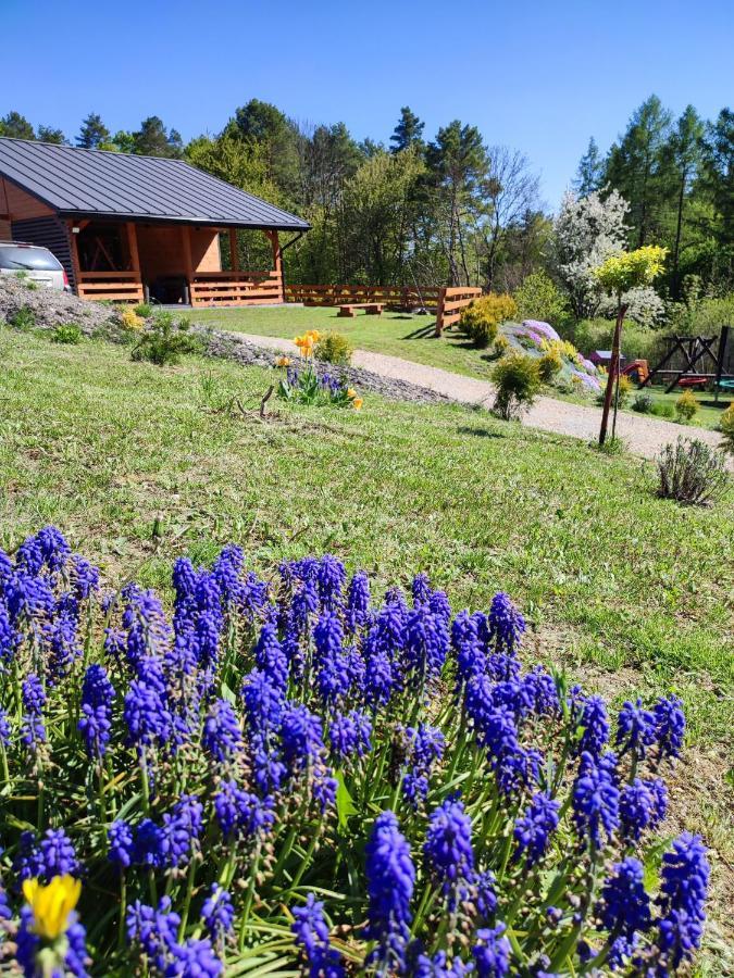 Roztocze, Na Lesnym Wzgorzu, Zwierzyniec, Krasnobrod,zamosc Holiday home Zamosc (Lublin)